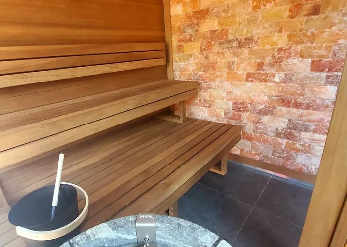 瑞士公园温泉酒店 酒店 霞慕尼