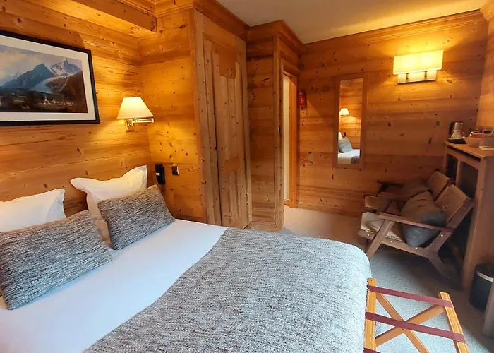 瑞士公园温泉酒店 酒店 霞慕尼