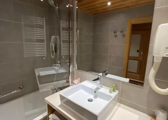 瑞士公园温泉酒店 酒店 4*