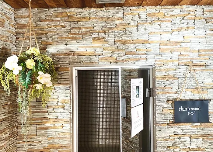 酒店 瑞士公园温泉酒店 霞慕尼