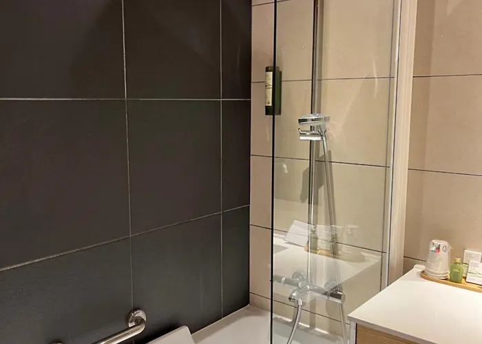 酒店 瑞士公园温泉酒店 霞慕尼