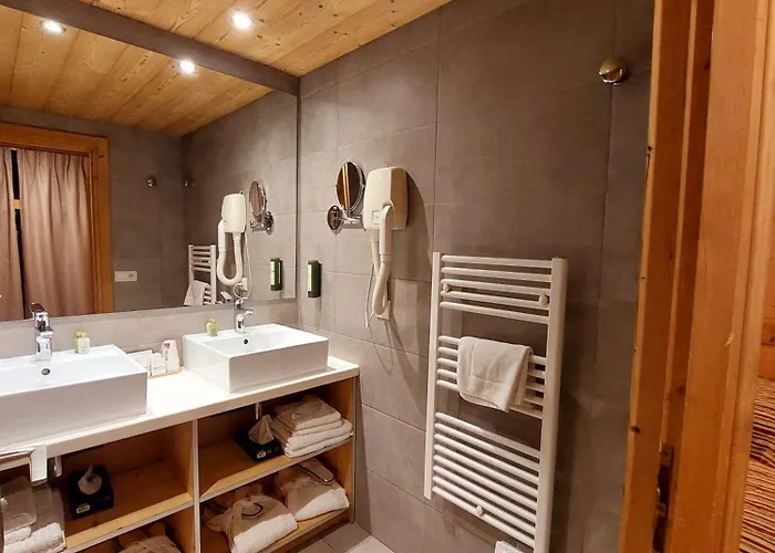 瑞士公园温泉酒店 4*