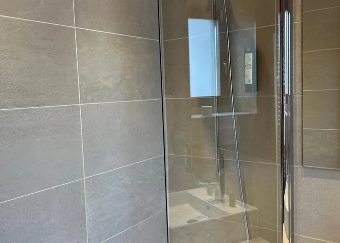 瑞士公园温泉酒店 4*